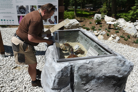 Nedávno byla v ostravské zoo otevřena expozice k ochraně mořských želv.