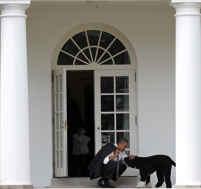 Barack Obama se svým psem Bo.