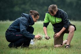 V Česku žije ve volné přírodě nejspíš posledních 5000 jedinců.