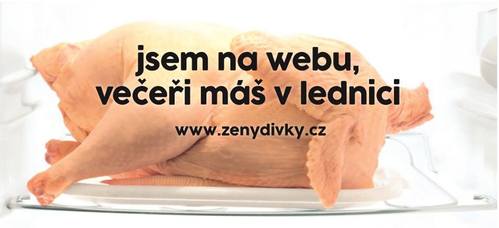 Návrh kampaně nového webu.