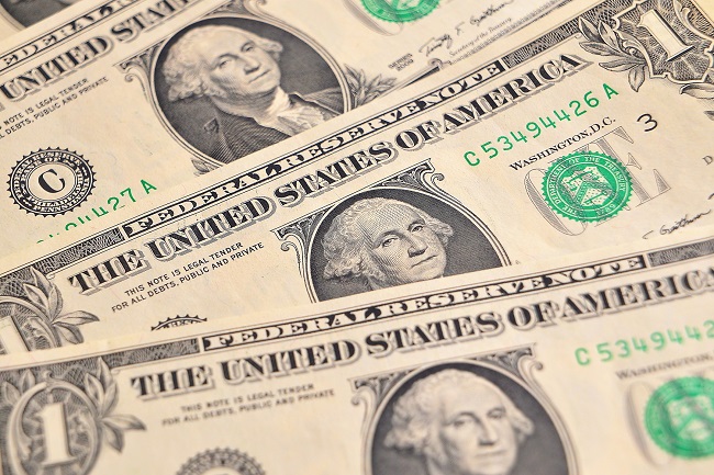 Dolar (ilustrační foto).