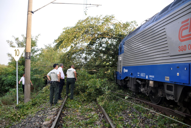 Dálkové vlaky mezi ČR a SR stojí, vlak najel na spadlý strom.