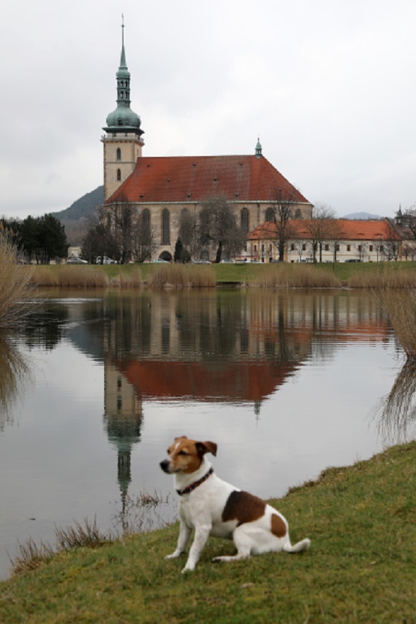 Kostel Nanebevzetí Panny Marie v Mostě.
