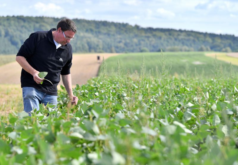 Farmáři svoji činnost přerušuji nejméně. 