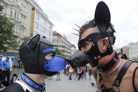 Prague Pride.