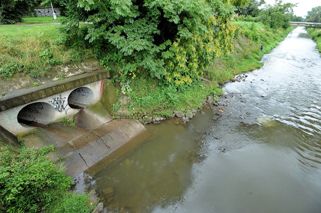 Nábřeží podél řeky Svitavy.
