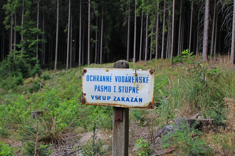 Ilustrační foto.