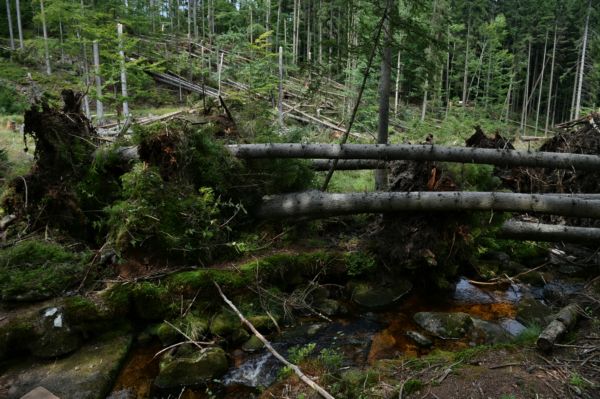 Šumava.