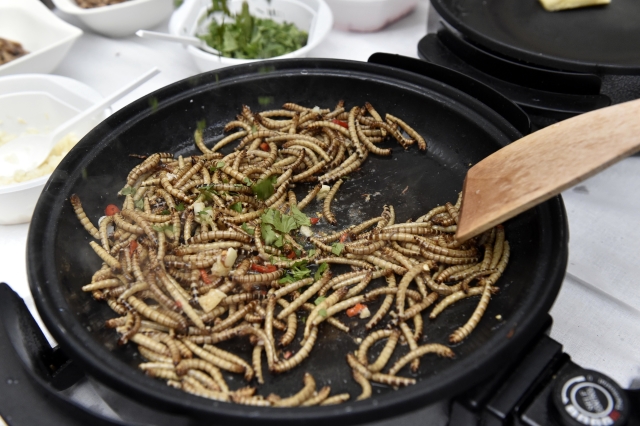 Na snímku jsou smažení červi z prvního ročníku Extreme food festivalu.