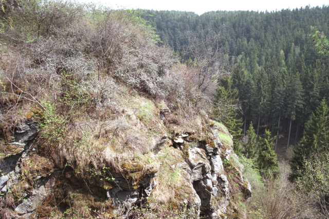 Přístup na Falkenštejn je pro turisty velmi nebezpečný. Přístup na Falkenštejn je pro turisty velmi nebezpečný.