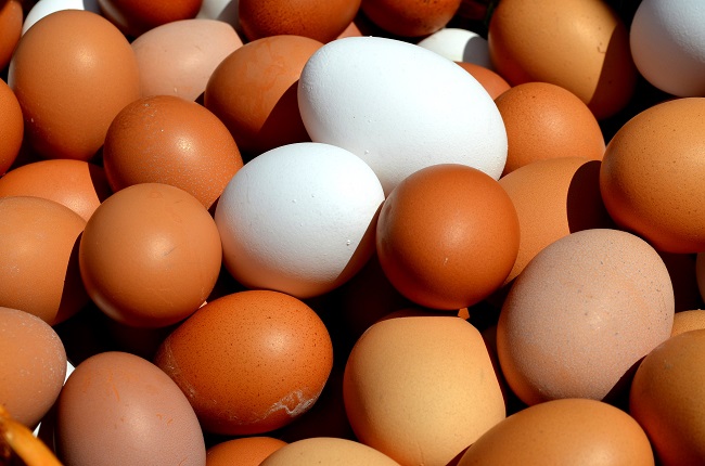 Veterináři rozšířili povinné kontroly na insekticid fipronil u vajec (ilustrační foto).