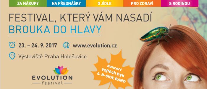 Festival Evolution.
