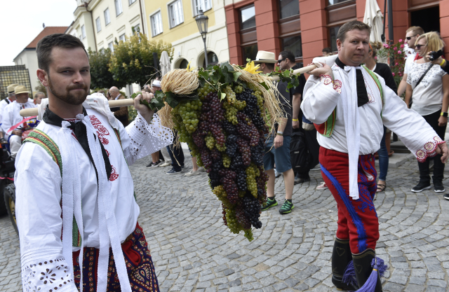 Vinobraní (ilustrační foto).