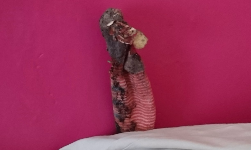 Ponožka vyděsila rodinu. 