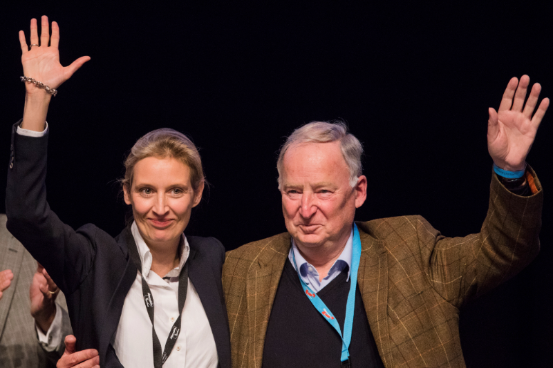 Alice Weidelová a Alexander Gauland.