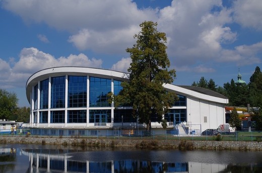 Plavecký stadion navrhl architekt Bohumil Böhm.