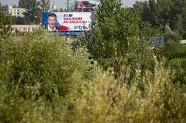 Volební billboard Tomia Okamury.