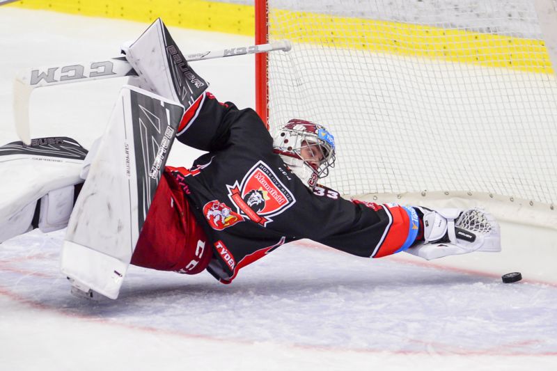Brankář extraligového Hradce Jakub Sedláček. Brankář extraligového Hradce Jakub Sedláček.