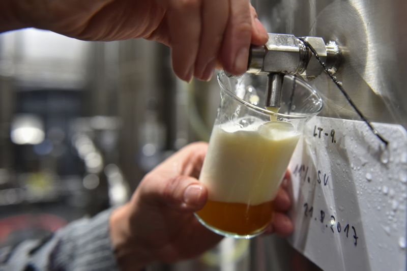 Krumlovský pivovar vaří nepasterizované pivo, filtrovanou i nefiltrovanou jedenáctku, dvanáctku a tmavý nakuřovaný ležák. 