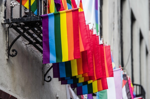 Vlajka LGBT.