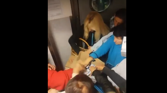 Máslová apokalypsa.