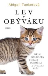 Lev v obýváku: Jak si nás domácí kočky...