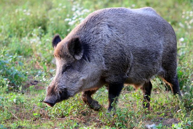 Ilustrační foto.
