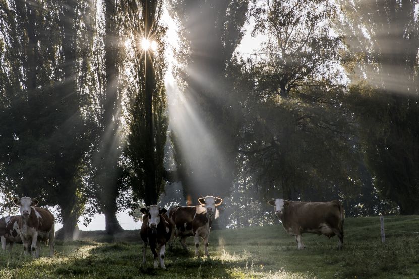 Ilustrační foto.
