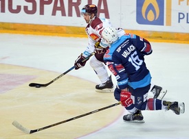 Sparta se v dalším kole extraligy utkala s Chomutovem.