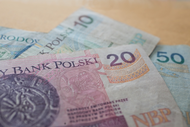 Polská měna (ilustrační foto).