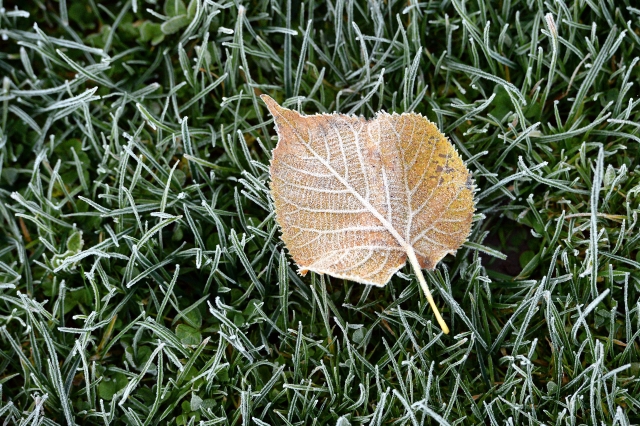 Ilustrační foto.