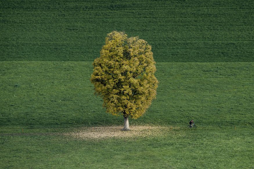 Ilustrační foto.