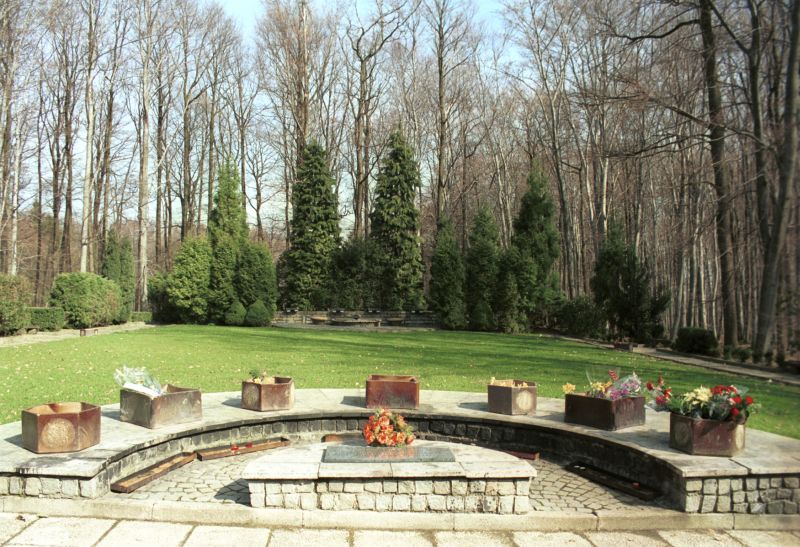 Lesní hřbitov. Lesní hřbitov.