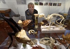 Na snímku je přírodovědná expozice muzea.