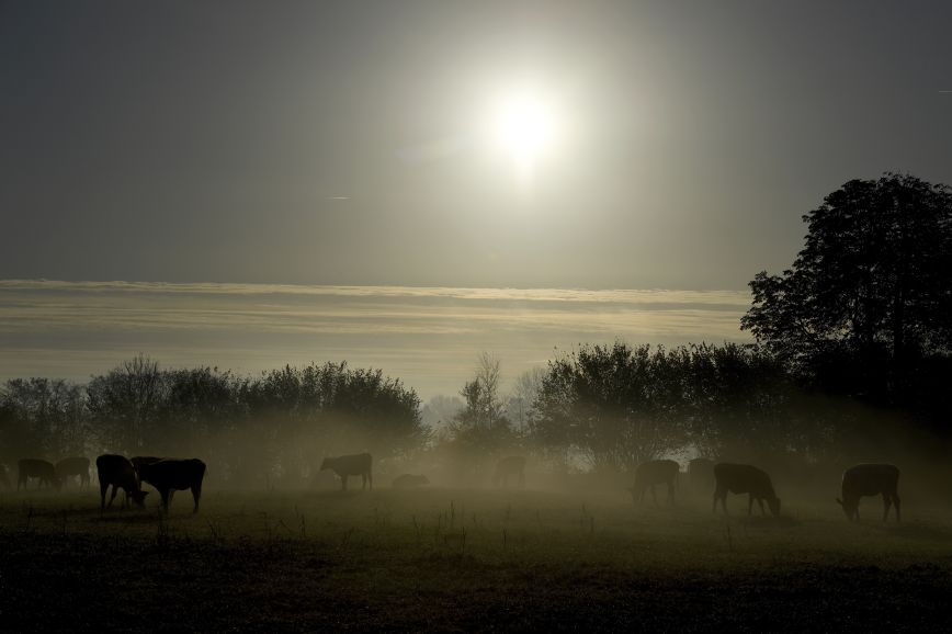 Ilustrační foto.