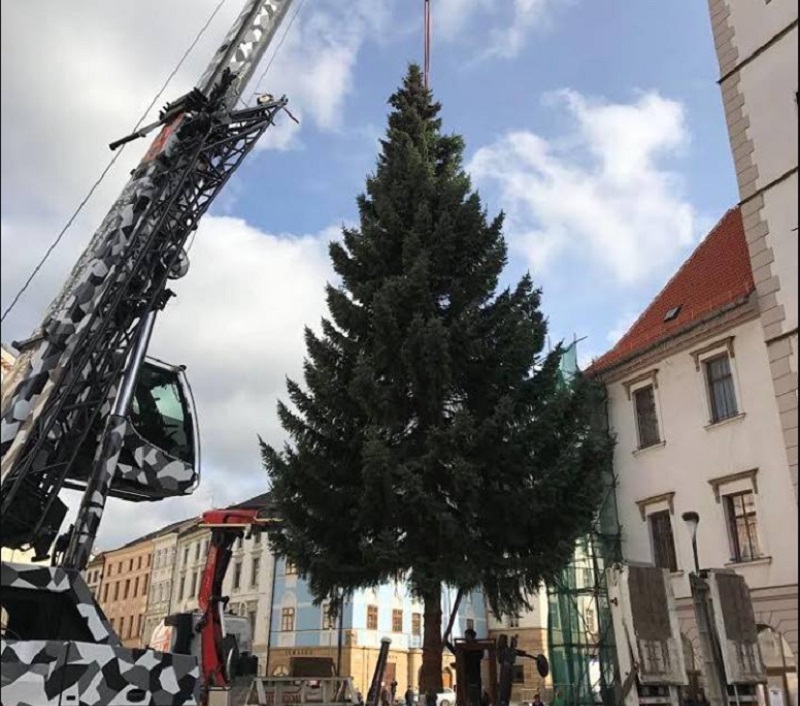 Vánoční strom města Olomouc.