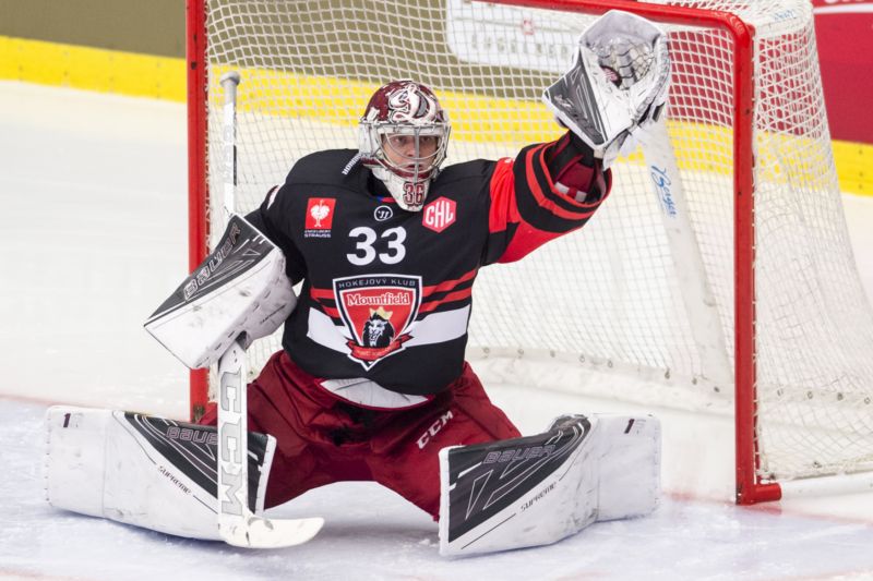 Hokejový gólman Jakub Sedláček.