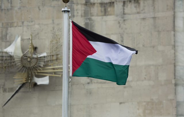 Vlajka Palestiny.