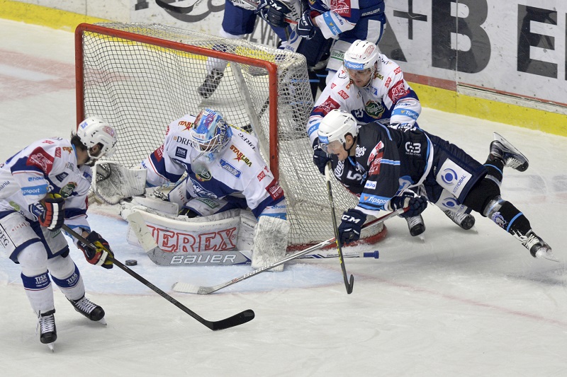 Plzeňští hokejisté vyzvou ve šlágru extraligu mistrovskou Kometu.