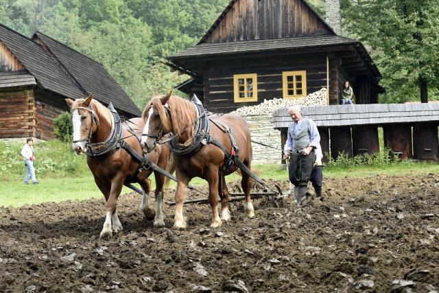 Valašské muzeum v přírodě v Rožnově pod Radhoštěm.