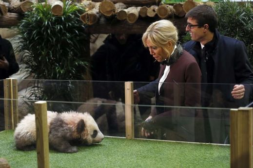 Pandí mládě dostalo jméno Jüan Meng, což znamená splněný sen nebo přání.