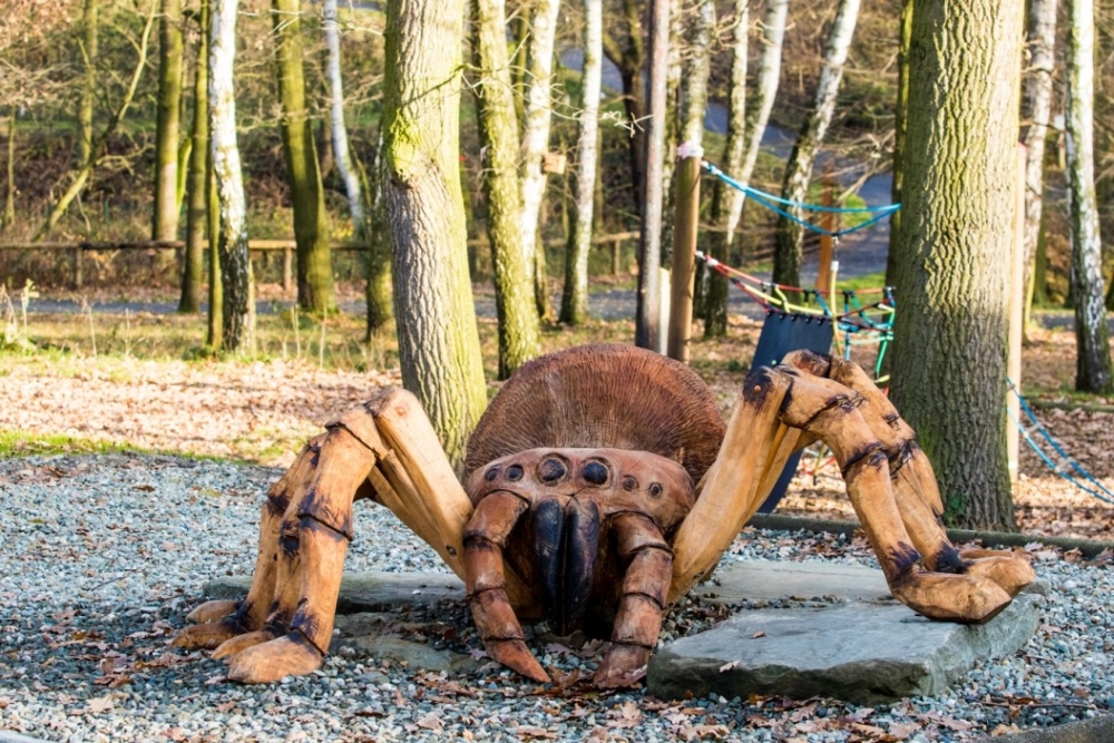 Dřevěný model pavouka.