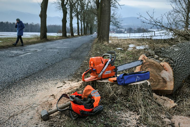 Čtyři výjezdy již mají na kontě hasiči Olomouckého kraje, zaměstnává je především odstraňování popadaných stromů (ilustrační foto).