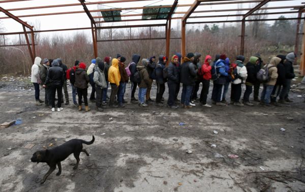 Migranti, Srbsko. 