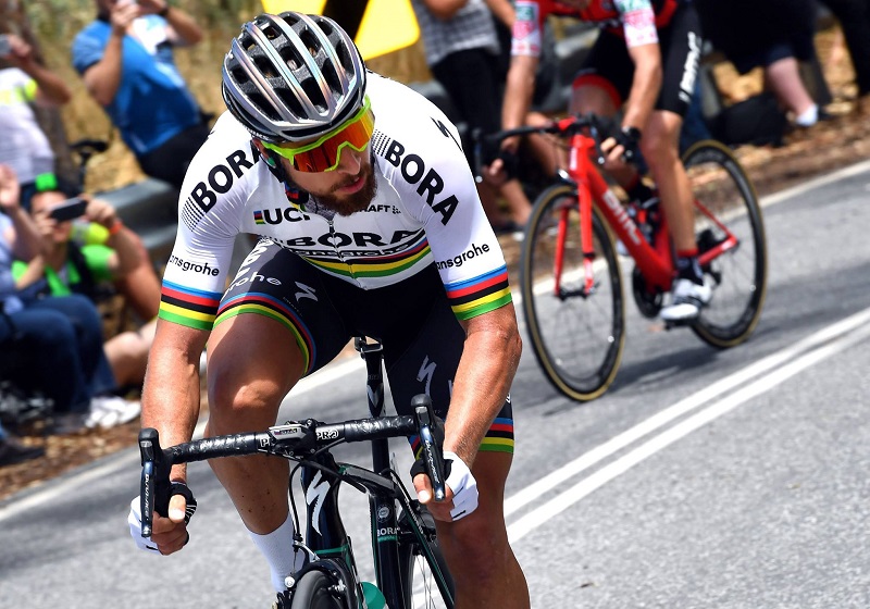 Slovenský cyklista Peter Sagan vyhrál slovenskou anketu Sportovec roku (ilustrační foto).