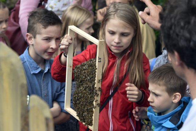 Údolí včel v jihlavské zoo.