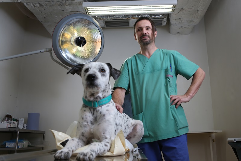 Veterináři loni vybrali na pokutách o milion více než předloni.