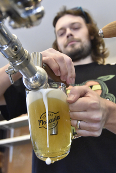 Společnost Czech Craft Beers loni otevřela v Brně-Medlánkách minipivovar. Firma bude vyrábět spodně kvašená piva pod značkou Moravia, která se v Brně vařila naposledy v první polovině 20. století. Na snímku čepuje pivo obchodní manažer Ondřej Pospíšil.