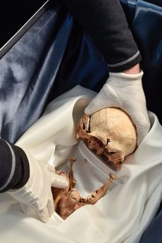 Archeologové objevili hroby loni při průzkumu zahradního domku v areálu zámku.
