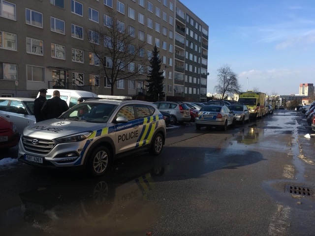 Pražská policie zasahovala 7. března 2018 v jednom z domů v Drimlově ulici, kde bylo odpoledne v igelitové tašce nalezeno tělo novorozence. Policisté nařídili soudní pitvu, která určí příčinu úmrtí.